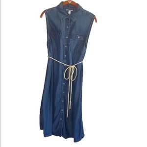 Liz Lange Maternity Chambray Botton Down Dress